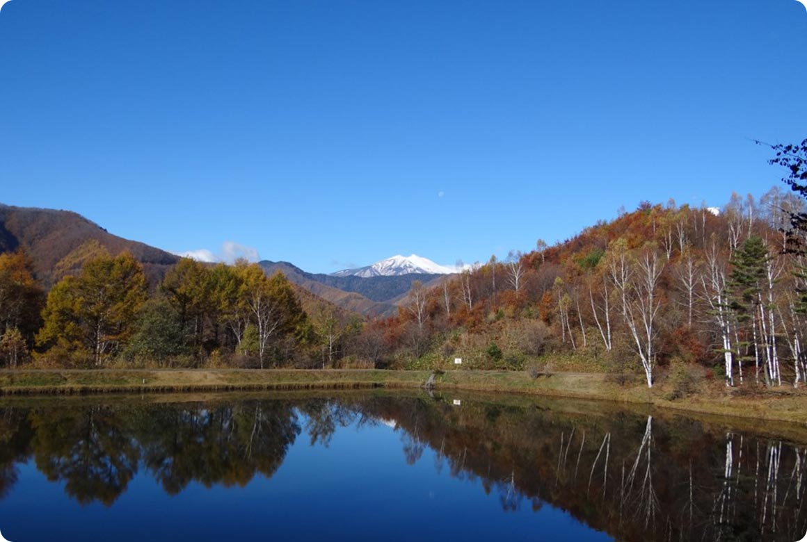 紅葉時期、乗鞍岳を望む。池に映る風景も美しい