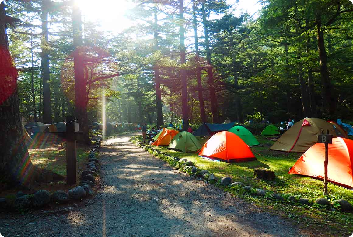 キャンプサイトの様子。シーズンになると多種多様なテントでキャンプ場が賑わう