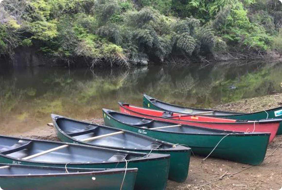 流れのない小糸川では、カヤックとカナディアンカヌー体験ができる