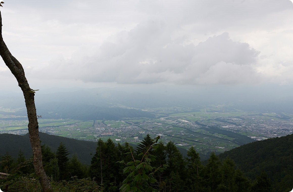 展望台からの風景