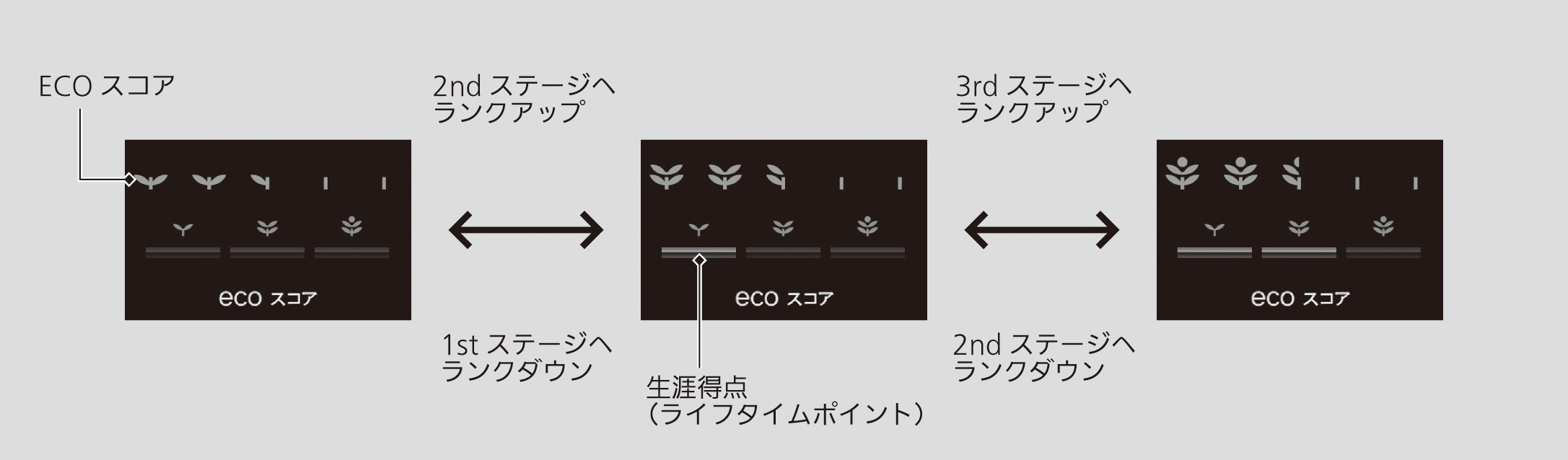 ../img/TXM02012.png