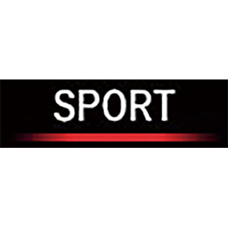 SPORT モード表示灯