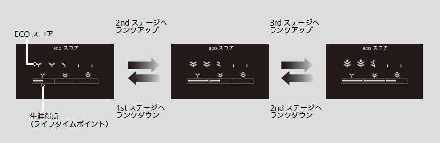 ../img/TDL02032.png