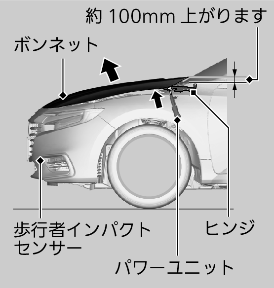 ポップアップフード