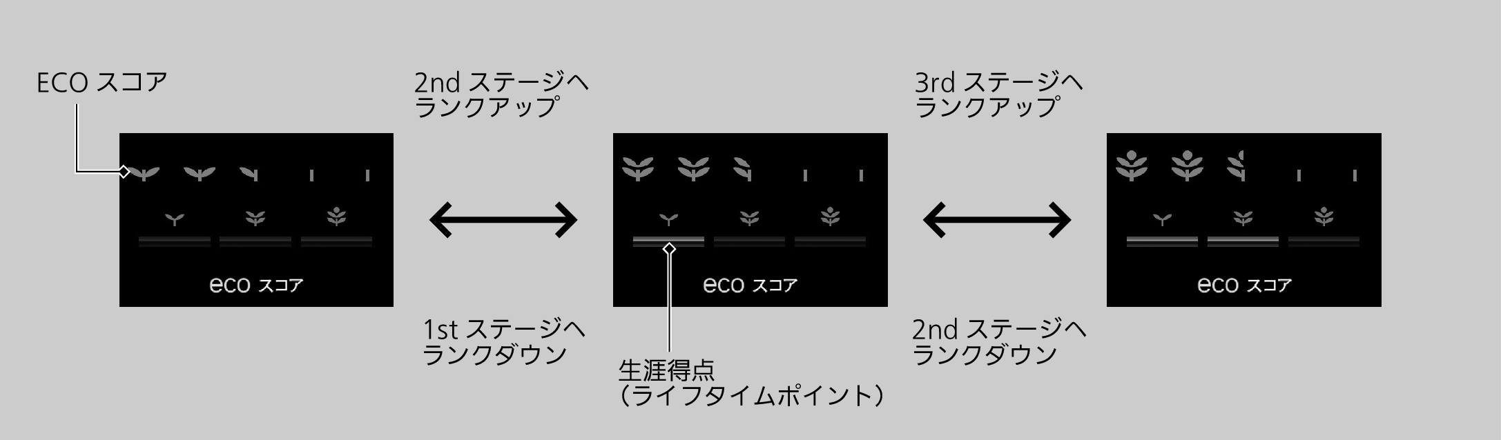 ../img/TXM02012.png