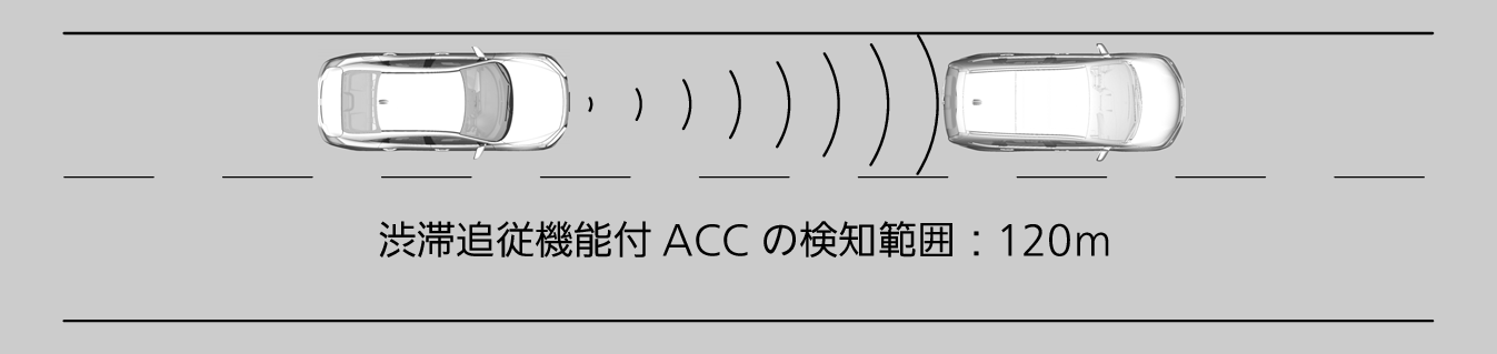 ../img/TXM05033.png