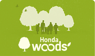 HondaWoods