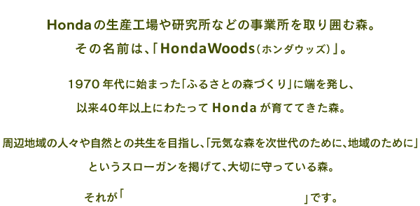 Hondaの生産工場や研究所などの事業所を取り囲む森。その名前は、「HondaWoods（ホンダウッズ）」。1970年代に始まった「ふるさとの森づくり」に端を発し、以来40年以上にわたってHondaが育ててきた森。周辺地域の人々や自然との共生を目指し、「元気な森を次世代のために、地域のために」というスローガンを掲げて、大切に守っている森。それが「HondaWoods（ホンダウッズ）」です。