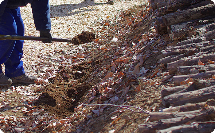 遊歩道の整備は、土を掘り返して行うことも。