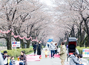 「おおづ桜まつり」と「エンジョイホンダ」が同時開催。地域との共生を目指す森、HondaWoods熊本も大盛況！