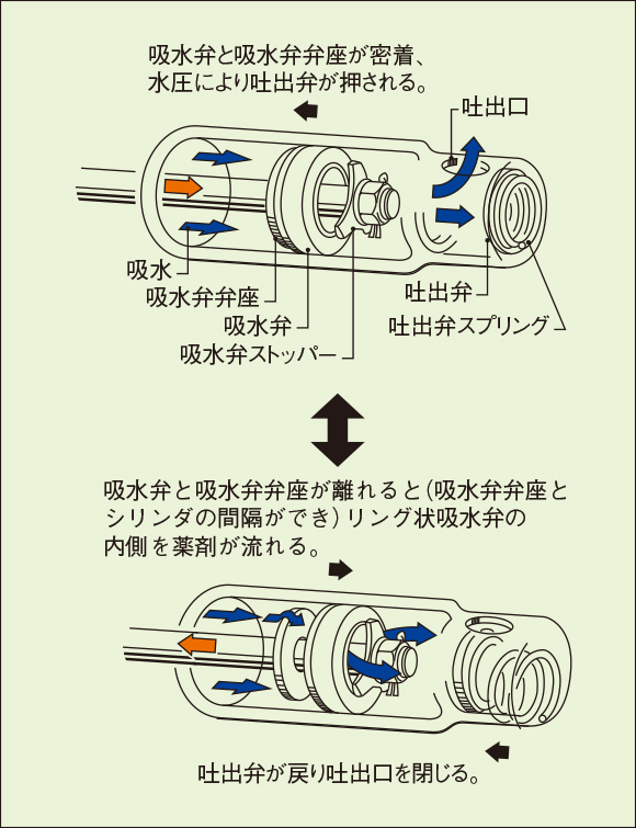 特徴