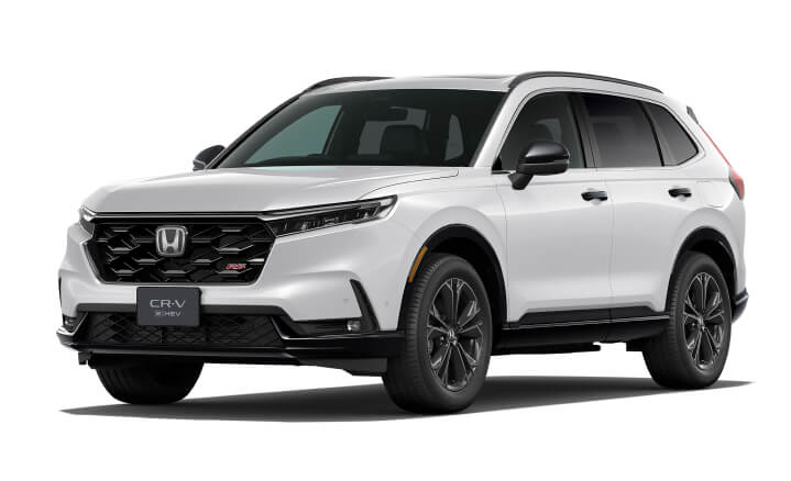 プラチナホワイト・パール★画像