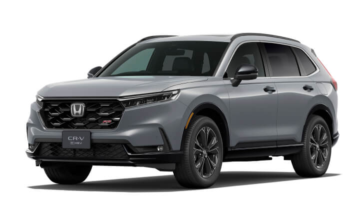 スレートグレー・パール★画像