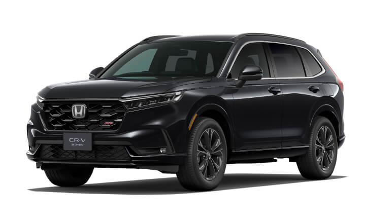 クリスタルブラック・パール画像