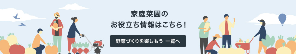 野菜づくりを楽しもう 一覧へ