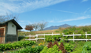 八ヶ岳Honda菜園