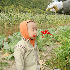 うれしいね！あなたの野菜作り