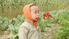 うれしいね！あなたの野菜作り