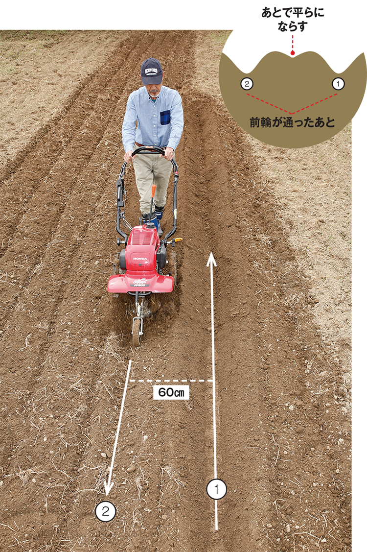 畑の土を極める Vol 4 野菜づくり Web Magazine 耕うん機 Honda
