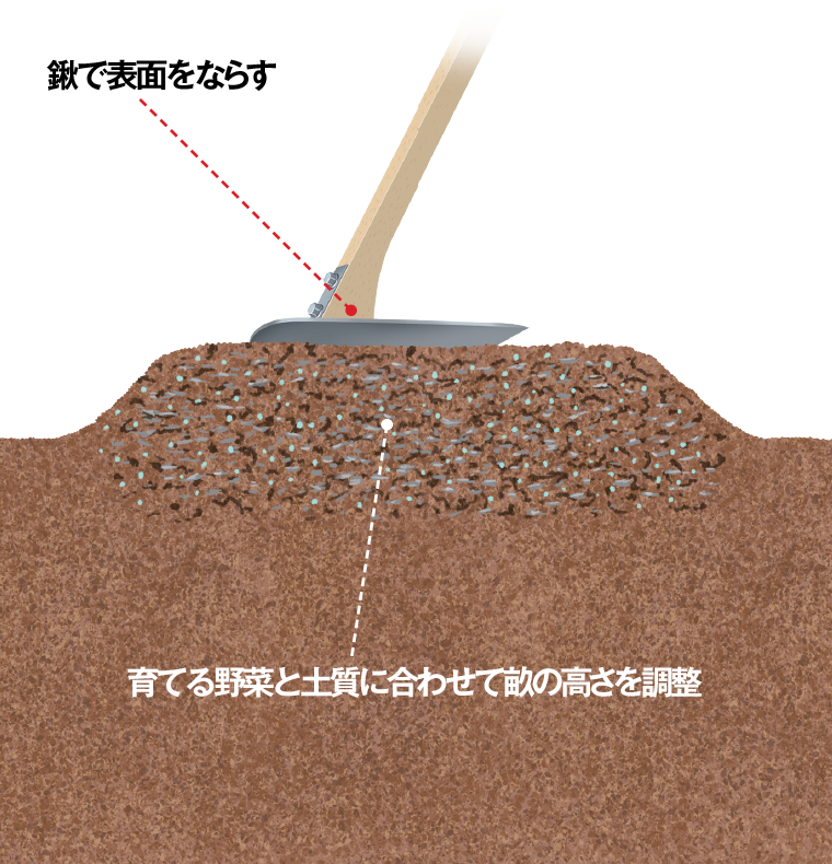 畑の土を極める 第7回 野菜づくり Web Magazine 耕うん機 Honda