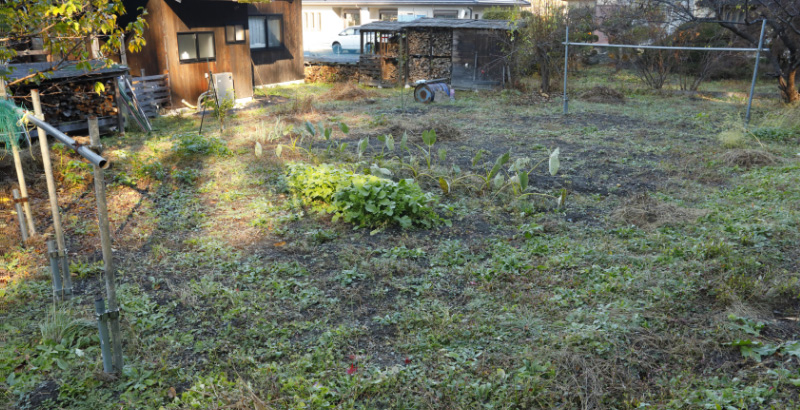 秩父の広さ約50坪の菜園この菜園に合う耕うん機を探す。