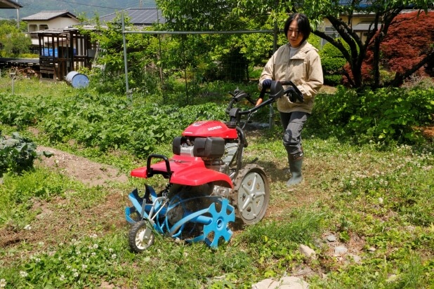 管理作業（除草・中耕・土寄せ）前後のジャガイモ畑。びっしりと生えていた雑草は綺麗に取り除かれ、畝も再形成されている。