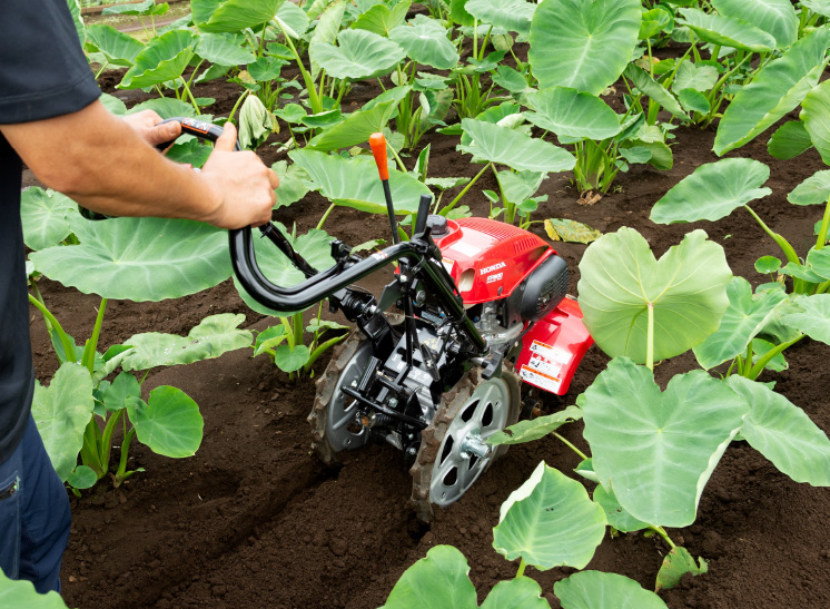 一歩先行く耕運機活用術 vol.15｜野菜づくり web magazine