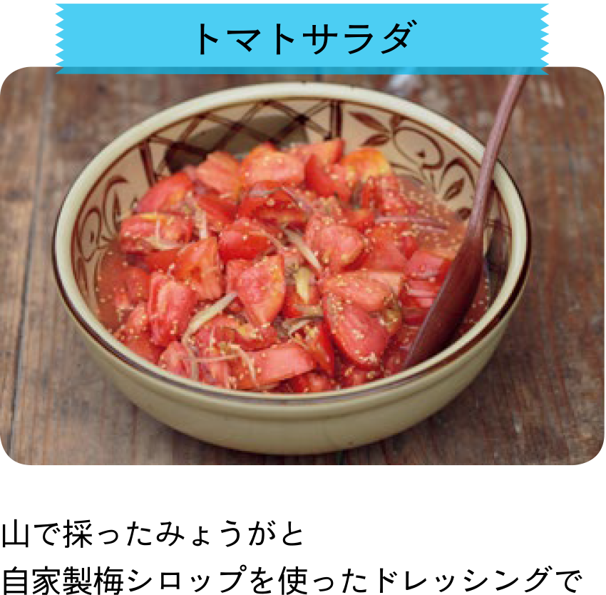 耕す女子たち Vol 15 野菜づくり Web Magazine 耕うん機 Honda 耕す女子たち Vol 15 野菜づくり Web Magazine 耕うん機 Honda