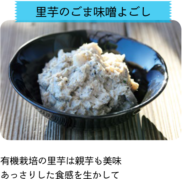 耕す女子たち Vol 9 野菜づくり Web Magazine 耕うん機 Honda