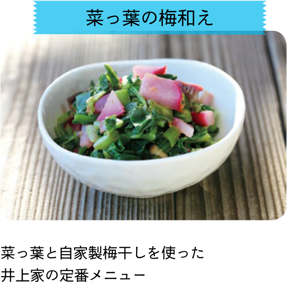 耕す女子たち Vol 9 野菜づくり Web Magazine 耕うん機 Honda