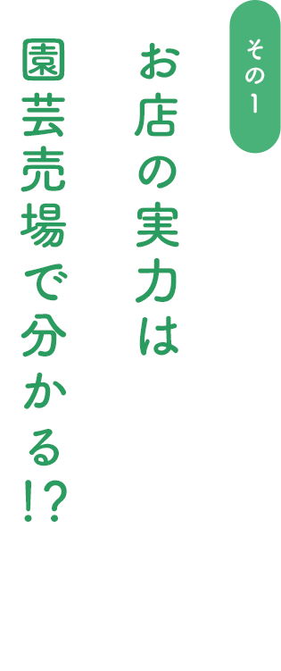 お店の実力は園芸売場で分かる!?