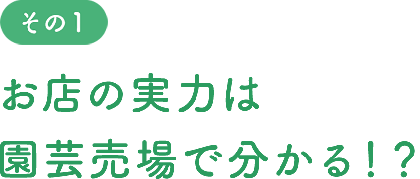 お店の実力は園芸売場で分かる!?
