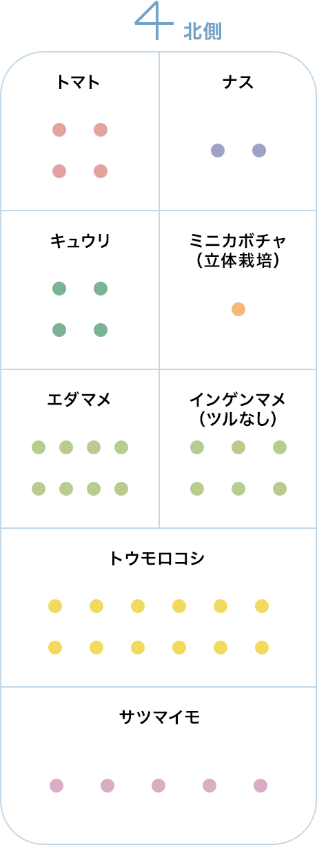 春夏の作付けプラン