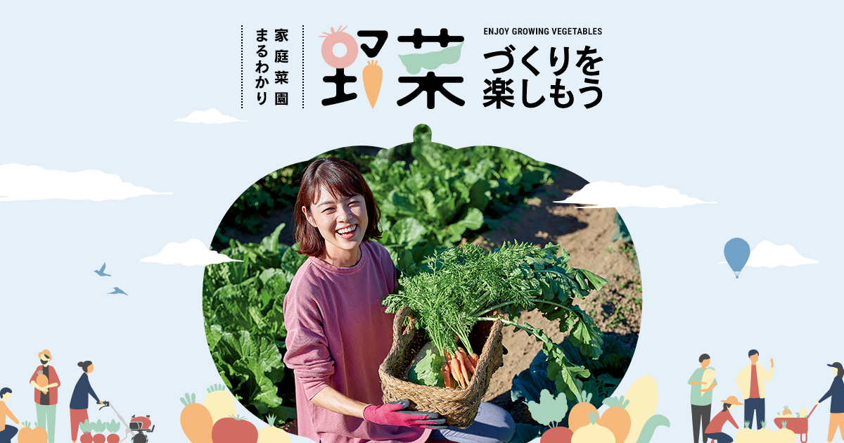 家庭菜園まるわかり 野菜づくりを楽しもう｜耕うん機 | Honda