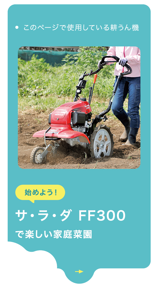 誠実 サ ラ ダ FF500 ブルースパイラル 650