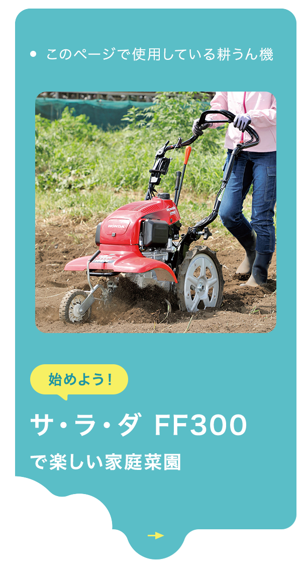 最新アイテム 買援隊店 法人限定 ホンダ 耕運機 サラダ FF500 ニューM型ヒッチ パープル培土器セット 尾輪なし スーパー整地レーキ90セット 