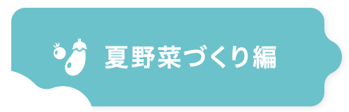 夏野菜づくり編