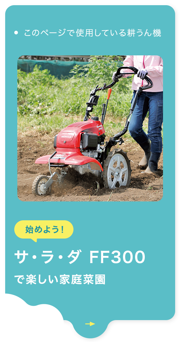 始めよう！ サ・ラ・ダ FF300で楽しい家庭菜園