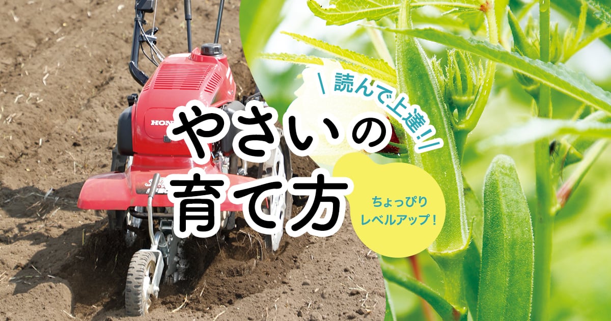 耕うん機はどんなシーンで使えるの？夏野菜づくり編 - 読んで