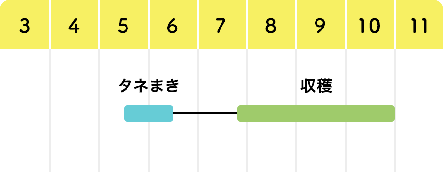 オクラ栽培のコツ 読んで上達 やさいの育て方 耕うん機 Honda