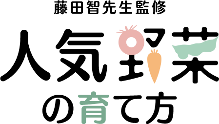 人気野菜の育て方