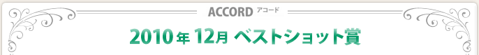 2010N12xXgVbg