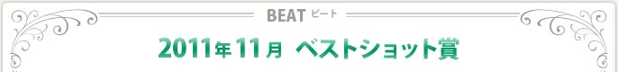 2011N11xXgVbg