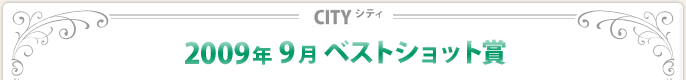 2009N9xXgVbg
