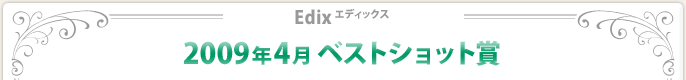 2009N4xXgVbg