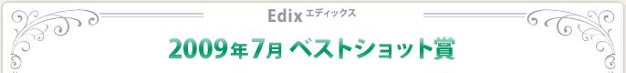 2009N7xXgVbg