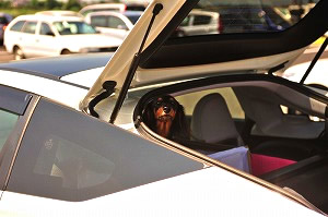 CR-Z