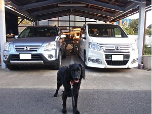 CR-V