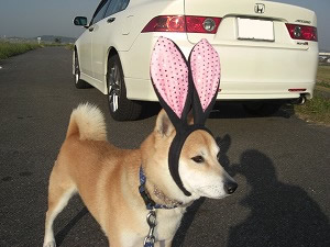 AR[h [R