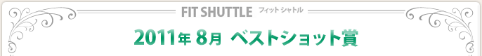 2011N8xXgVbg